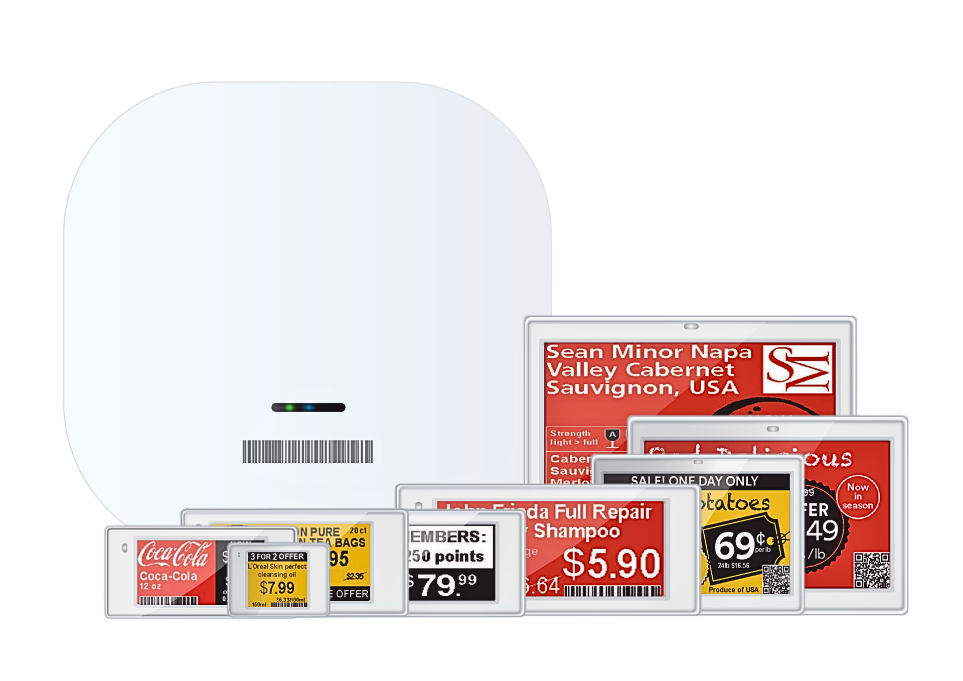 Electronic Shelf Labels (ESLs) in multiple sizes with a wireless gateway for real-time retail pricing, digital promotions and automated shelf management.